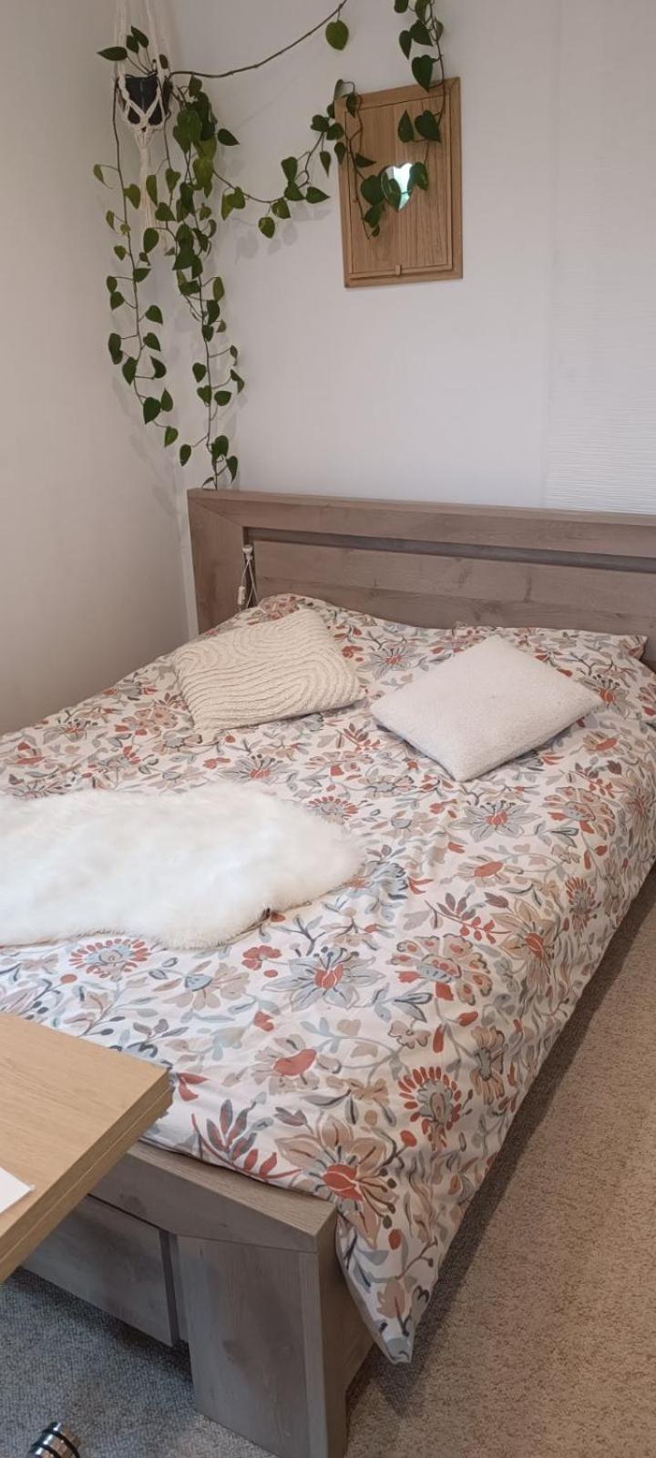 Appartement Le Petit Cocon à Montbozon Extérieur photo